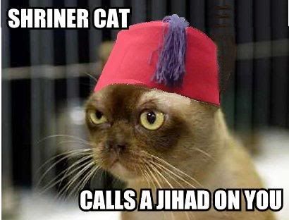 LolCatRenderer-23.jpg