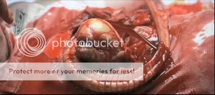 07-chestburster.jpg