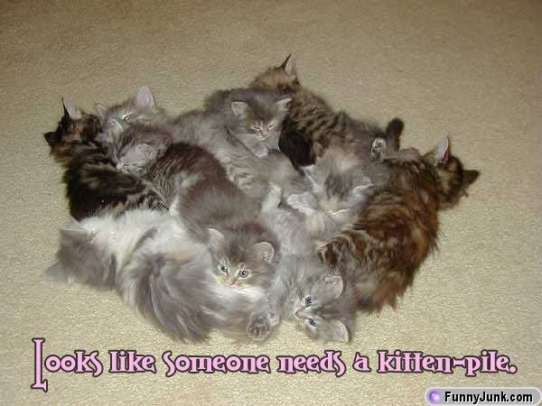 kittenpile.jpg