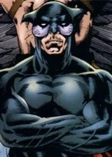 Wildcat_dc-comics.jpg